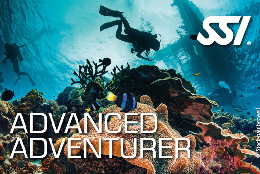 Two scuba divers exploring the Kled Kaew Wreck, surrounded by a dense school of fish