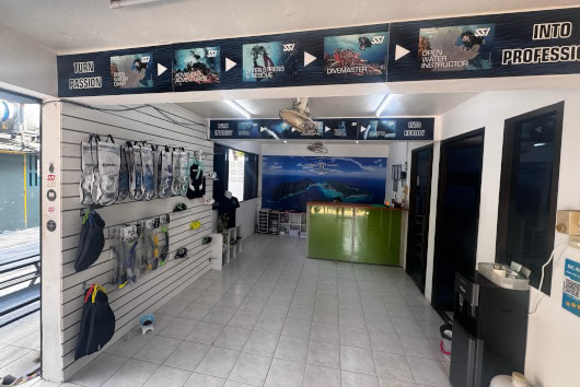 Interior of Island Divers dive shop on Phi Phi Island, showcasing scuba gear and course progression banners