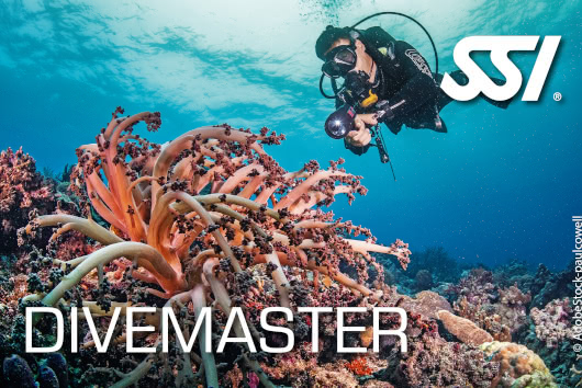 Smiling diver adjusting a blue mask at the surface, with jungle-covered cliffs in the background of Phi Phi Island