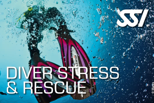 Rescue diver practising a surface rescue scenario with an unresponsive diver in a training pool