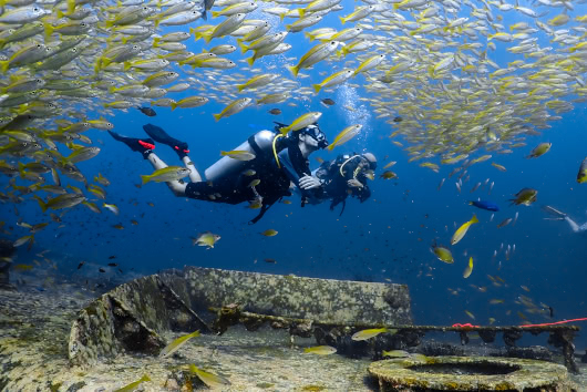 Scuba divers exploring the Kled Kaew Wreck surrounded by a large school of yellow fish