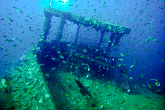 Marine life swimming around the wheelhouse of the King Cruiser Wreck near Phuket, Thailand