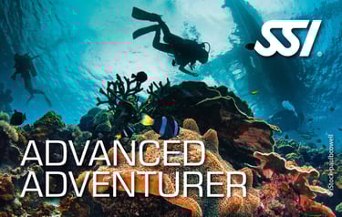 Two scuba divers exploring the Kled Kaew Wreck, surrounded by a dense school of fish